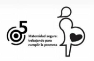 Iniciativa por una Maternidad Segura