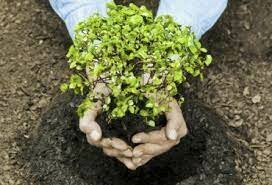 Decreto 900 de 1997, de la nación