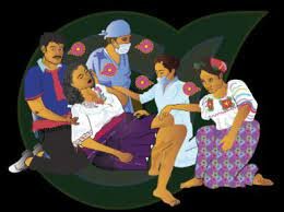 Parteria Profesional