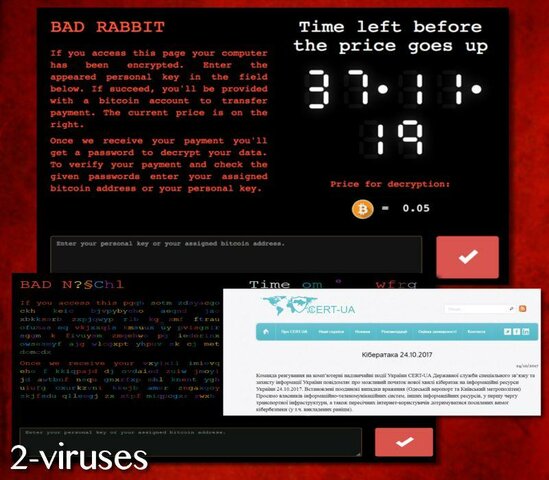 Virus Rabbit