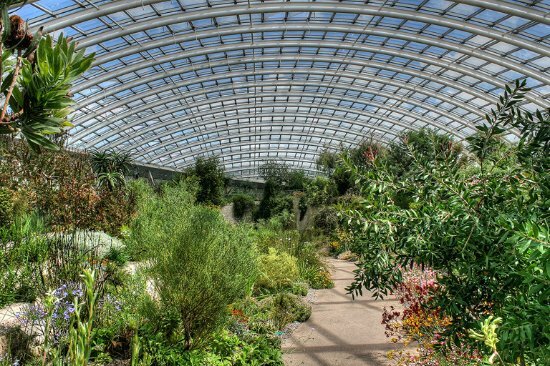 Gran Casa de Cristal en el Jardín Botánico Nacional de Gales –  Carmanthenshire, Wales