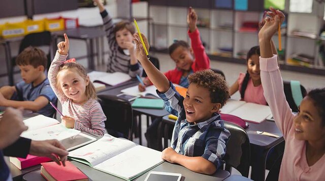 Individuals with Disabilities Education Improvement Act (IDEIA)