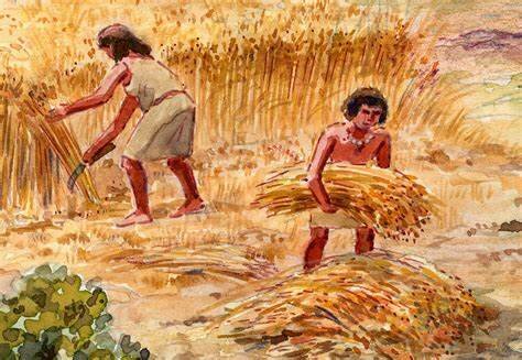 La agricultura y sus beneficios
