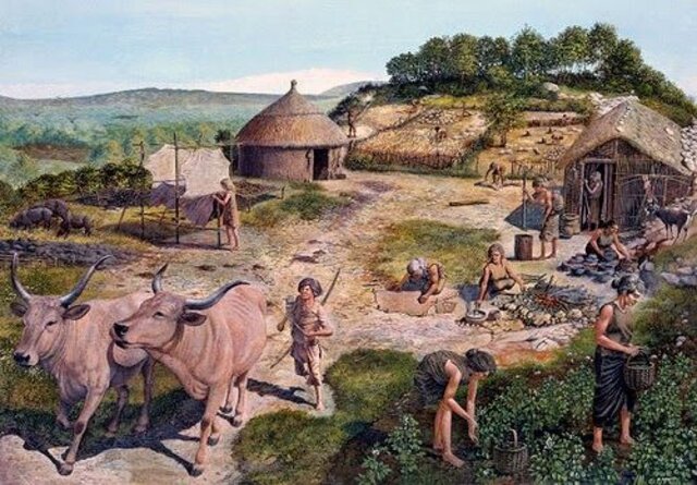 La domesticacion y su tecnologia