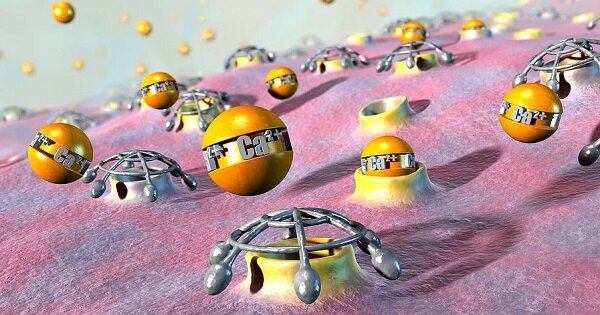 TRATAMIENTO DE LA HIPERTENSION