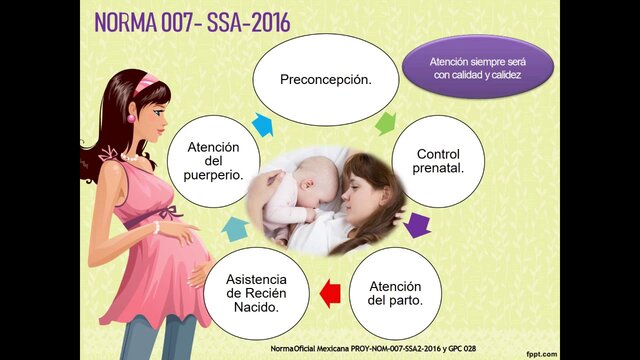 Norma Oficial Mexicana 007