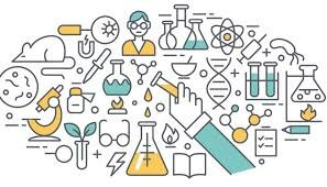 Componentes de las ciencias.