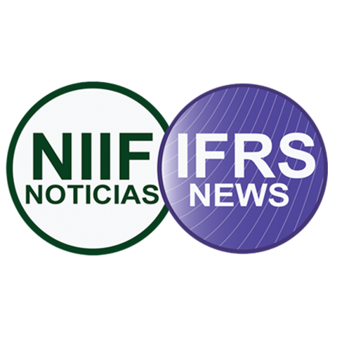 Revisión Norma NIIF para PYME