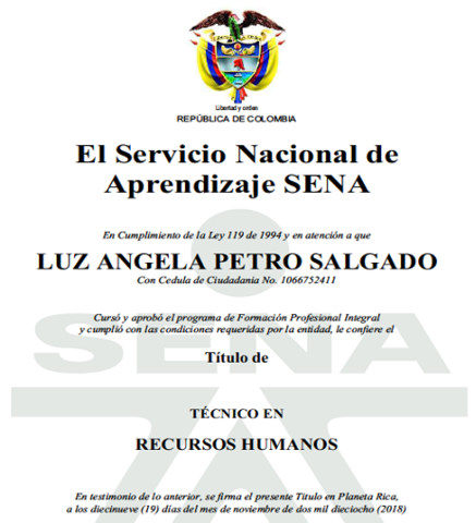 Técnico Sena