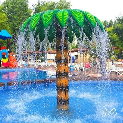 Viaje a parque acuático