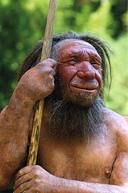 Homo neanderthalensis
