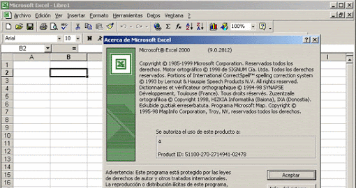 Excel 9.0
