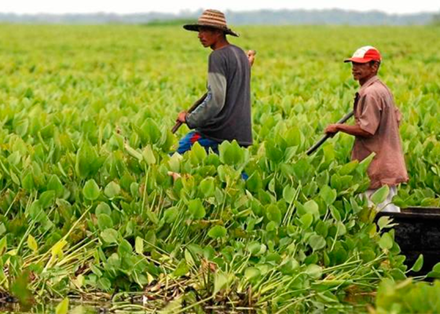 Reconocimientos de las tierras de comunidades negras