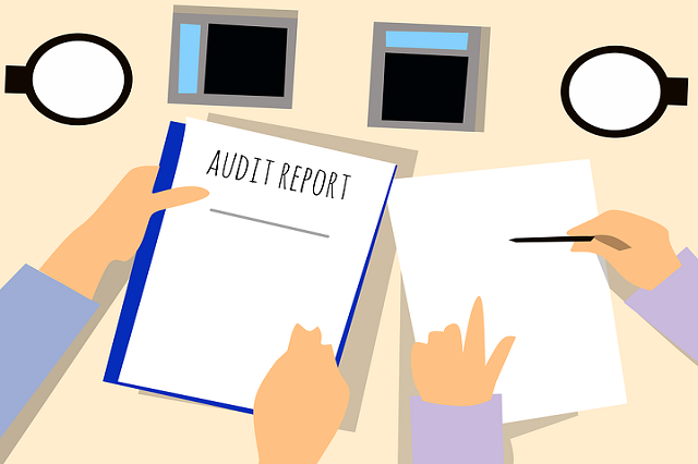 Adquiere relevancia la Auditoria.