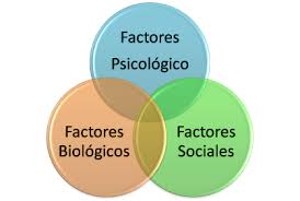 Modelo biopsicosocial
