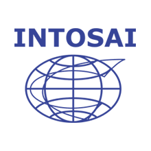 Surge la INTOSAI.
