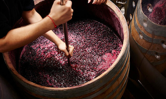 Fermentación del vino
