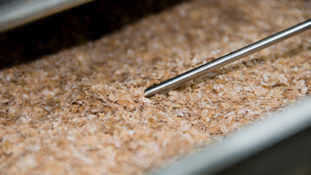 Proceso de fermentación en medio sólido