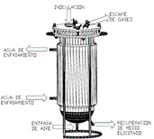 Primer biorreactor