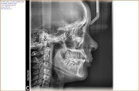 investigadores japoneses