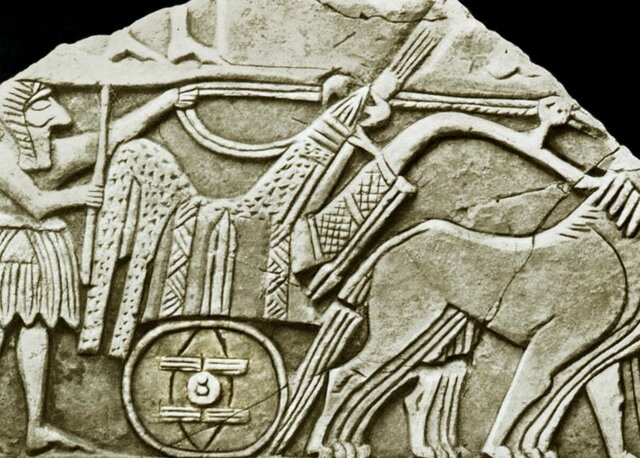 Humanos inventam a roda