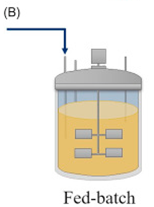 Inicio del control de biorreactores Fed-Batch