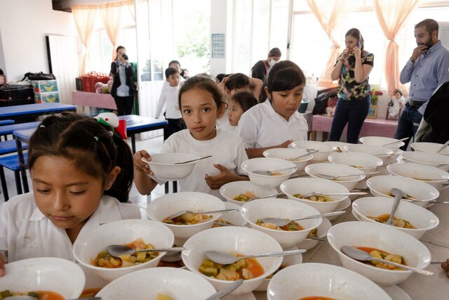 Programa de Alimentación Salud y Educación