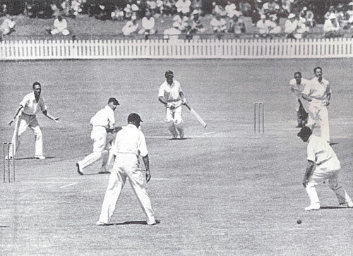Cricket entre los invasores