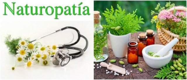 Medicina Natural (Naturopatia)
