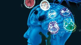 Timeline: Introducción al estudio de la psicología fisiológica.