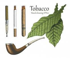 EL tabaco y la enfermedad periodontal