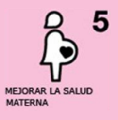 Reducción de la mortalidad materna