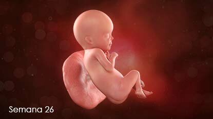Semana 26