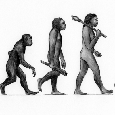 Timeline: Momentos estelares de la evolución humana