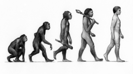 Timeline: Momentos estelares de la evolución humana