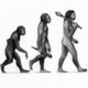 Evolution of man illustrations such as this depicting the stages of human evolution
