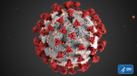 Timeline:  5 momentos que marcaron la historia de la microbiología