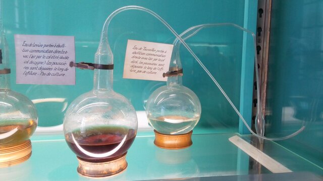 Fin de la generacion espontanea