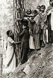 En Ecofeminismo, movimiento Chipko culmina su campaña.
