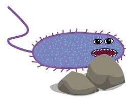 Sergei Winogradsky, la quimiolitotrofia y la fijacion de nitrogeno