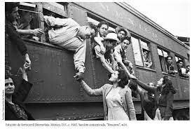 Ley de la Migración