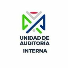 La idónea conformación de una unidad de auditoria.