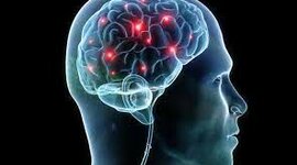 Timeline: INTRODUCCION AL ESTUDIOS DE LA  PSICOLOGÌA FISIOLÒGICA