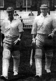 Competencia de cricket