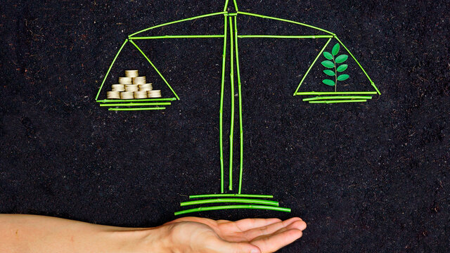 El brote de la responsabilida social.