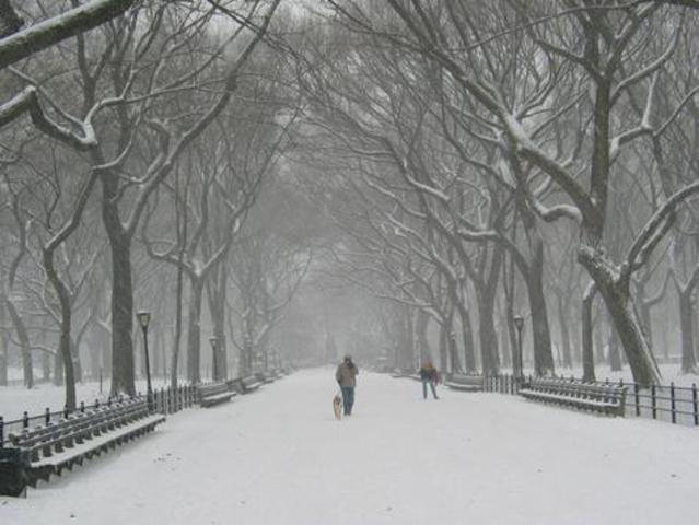 Snow in New York City