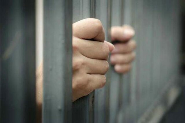 Articulo 19 ( Reforma 2019)