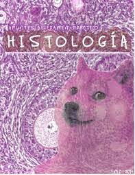 Histología