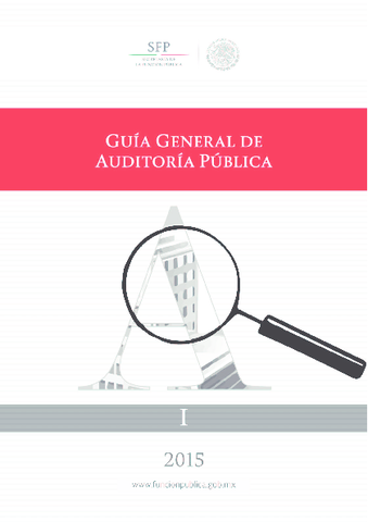 Se crea una Guía de auditoría pública.
