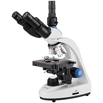 Microscopio compuesto